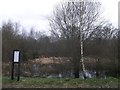 Round Pond, Epping Forest