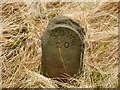 SE0103 : Water Works Boundary Stone by David Dixon