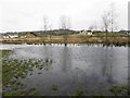 Wetland area, Oxtown