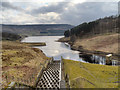 SE0204 : Dovestone Reservoir from Yeoman Hey by David Dixon