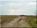 Farm track across field