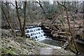 Weir in Deep Hayes Country Park