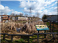 Slough Canal Basin