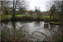 TQ0343 : Pond, Shamley Green by N Chadwick