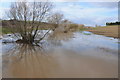 Flooded Bow Brook