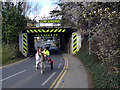 Horse Under The Bridge