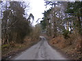 TM4568 : Walkbarn Farm Lane, Westleton by Geographer