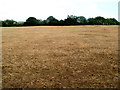 ST3396 : Field of stubble near Llanddewi Fach by Jaggery