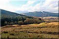 Across the fields towards Strachurmore