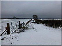 H4776 : Snow at Glenhordial Townland by Kenneth  Allen
