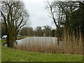 The Long Pond, Totteridge Common