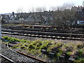 Railway Tracks at Streatham Vale