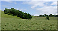 Farmland north of Betws Bledrws, Ceredigion