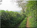 Farm track near Scarcliffe