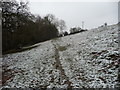 Footpath between The Hendre and Llangattock-Vibon-Avel