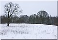SP9000 : Snow-covered parkland, Great Missenden by Simon Mortimer