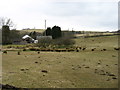 Fields at Hutton Farm