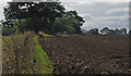 Field with trig point