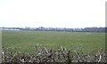 Farmland off the A584