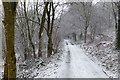 Track on Sandy Hill