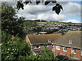 The roofs of Headway Rise, Teignmouth