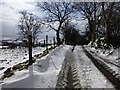 Road at Glenroan