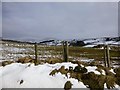 Glenroan Townland