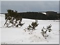 NT7663 : Snow drifts, Blackerstone Moor by Richard Webb