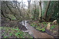 Tributary stream of the River Wey