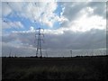 Pylons near North Muskham