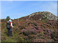 SH3139 : Rocks and heathers on Garn Boduan by Trevor Littlewood