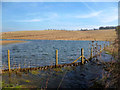 The Shefford Stream