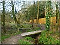 Path with footbridge in Abbots Worthy