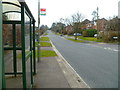 Looking south on Bereweeke Avenue