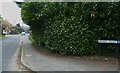 Looking along Springvale Road from Haydn Close