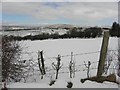 Snow at Aghascrebagh