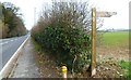 Looking along Basingstoke Road from footpath junction