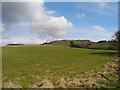 Farmland east of Higher Matley Hall