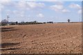 Fields north of Abbotts Law