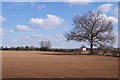 Farmland south of Andover