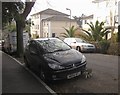 Cat and car, Vansittart Road. Torquay