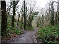 Footpath junction in Avon Valley Woodlands