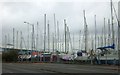 A forest of masts  for boats in winter store