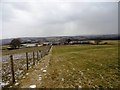 View of Burnopfield Farm