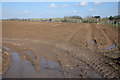 Ploughed field, Weston Baggard