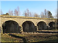 Burnstones Viaduct on the (former) Haltwhistle to Alston branch line (west side) (2)