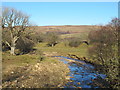 Thinhope Burn downstream of the viaduct at Burnstones