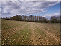 Path over rough field