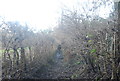 Muddy path near Derryswood Farm