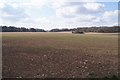 Fields between The Drove & Dunkirt Lane